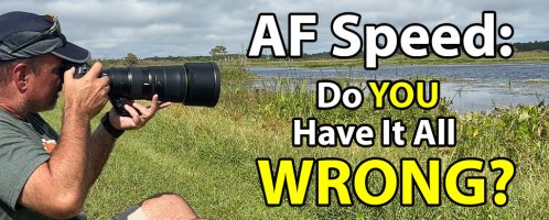 AF Speed: Do You Have It All Wrong?