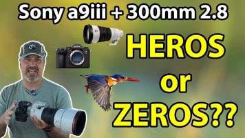 Sony a9iii Wildlife & Bird Photography Field Review & Sony 300 2.8 Review (Initial Impressions)