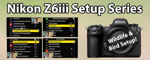 4 New Z6iii Setup Videos!