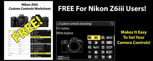 Nikon Z6iii Custom Controls Worksheet