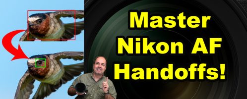 Master Nikon AF Handoffs on Z8, Z9, and Z6iii for Jaw-Dropping Action Shots!￼