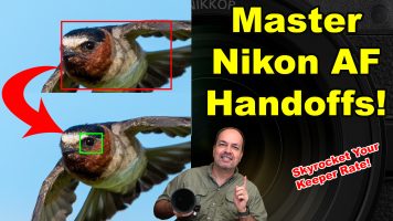 Master Nikon AF Handoffs on Z8, Z9, and Z6iii for Jaw-Dropping Action Shots!￼