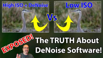 Low ISO VS. High ISO + Denoise:  WARNING: You NEED To See This Before Your Next Shoot!