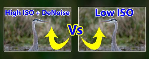 Low ISO VS. High ISO + Denoise:  WARNING: You NEED To See This Before Your Next Shoot!