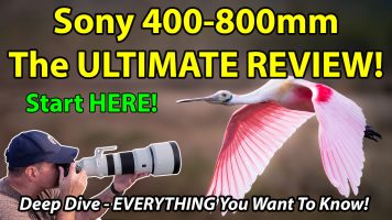 Sony 400-800mm Full Review And Field Test