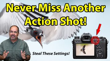 Emergency Action Button: The Secret Weapon for Wildlife & Bird Photography