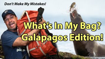 What’s In My Bag? Galápagos Edition!