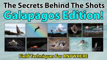 Secrets Behind The Shots – Galapagos Edition!