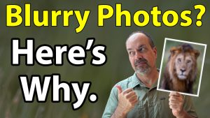 Blurry Wildlife Photos? Here’s Why