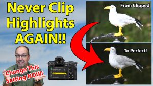 UNLOCK A Metering Superpower! (Protect Highlights for Nikon and Sony)