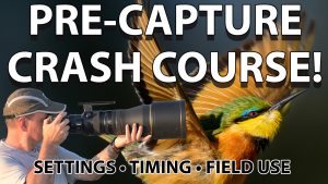 Pre-Capture Crash Course!