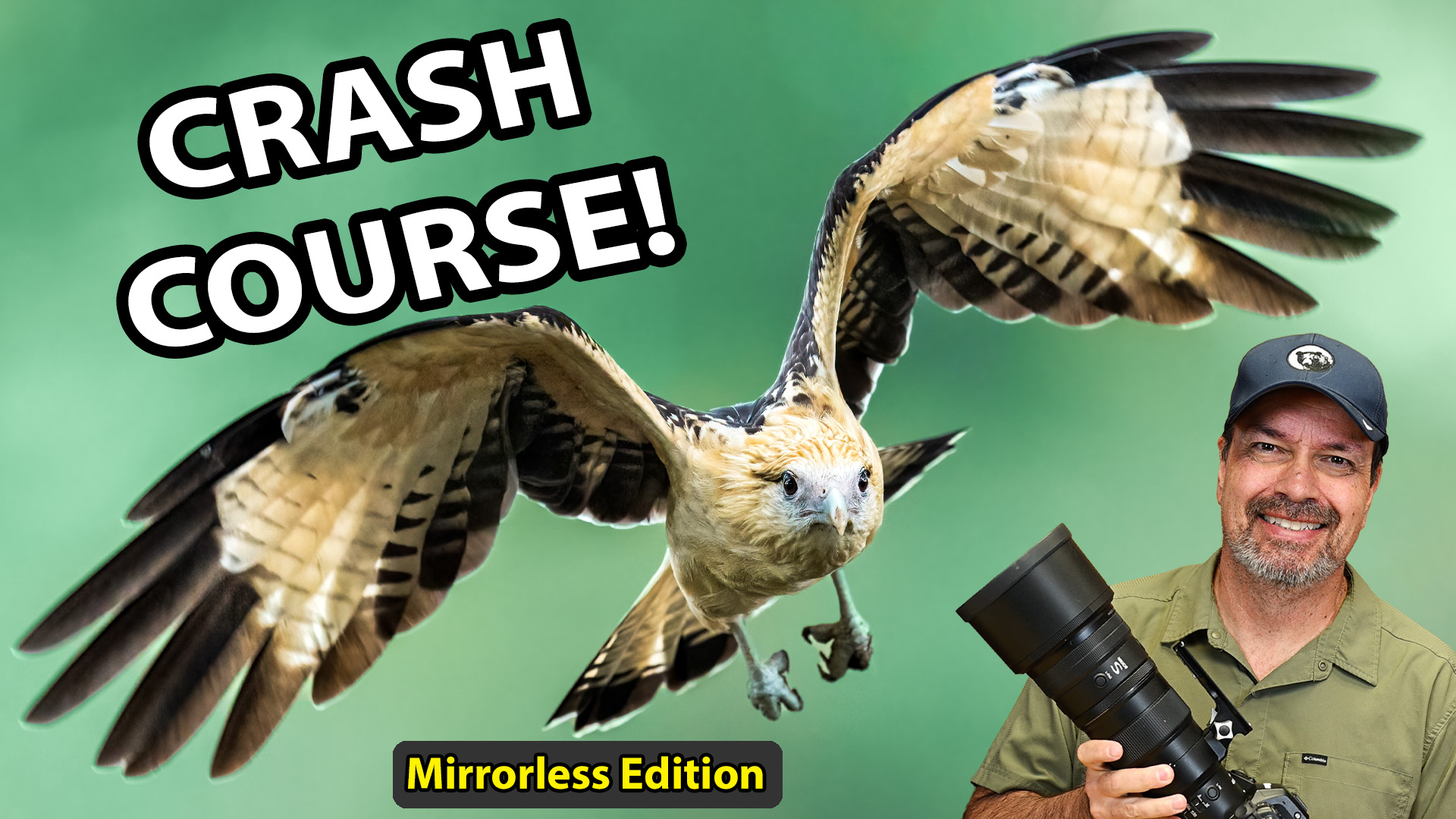 Bird-In-Flight Crash Course: Mirrorless Edition! - Backcountry Gallery