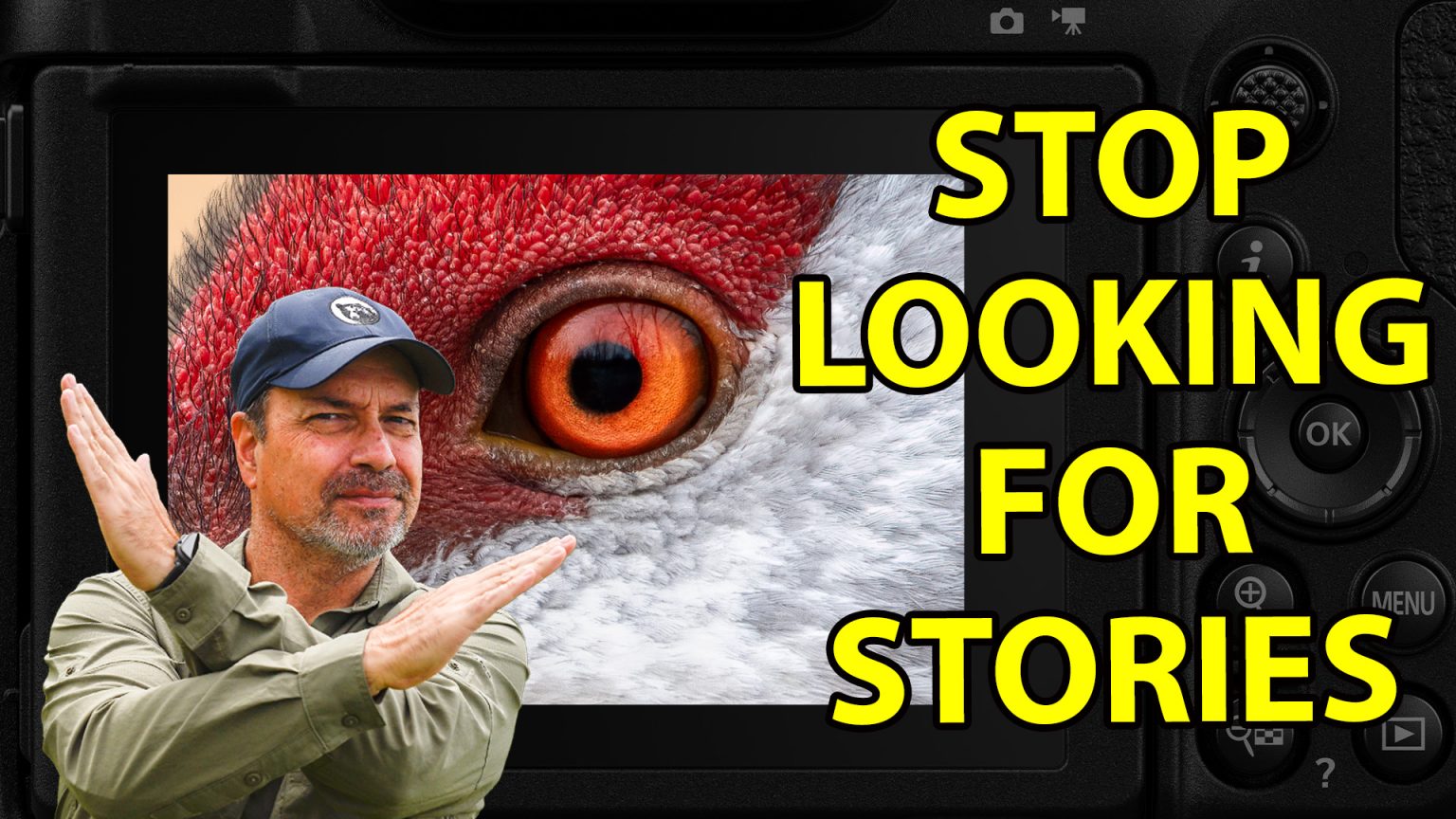 Backcountry Gallery - Wildlife Photography By Steve Perry