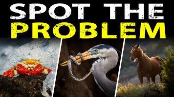 The Hidden Skills That Get The Shot