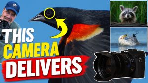 Sony RX10 V Review for Wildlife Photographers