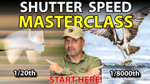 Wildlife Shutter Speed: You’re Using the Wrong One
