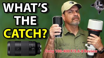 Sony 100-400mm F5.6-8 Review: What Do You Really Give Up?