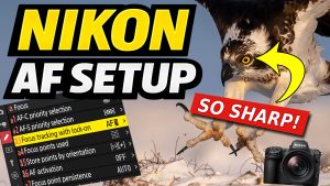 Best Nikon AF Setup for Wildlife Photography (Nikon Z Series)