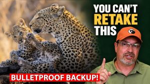 Travel Photo Backup: Are Your Best Shots Really Safe?