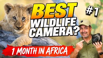 Sony a7r6 Wildlife Review: One Month in Africa