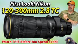 Nikon 120–300mm F/2.8 TC: A Wildlife Photographer’s Review