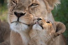 Hey mom, want a kiss?
