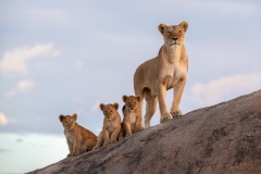 Mom and the kids