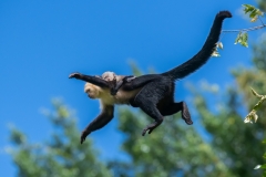 Hang on!