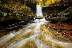 Blue Hen Falls In Autumn