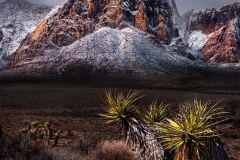 Rainbow Peak In Snow