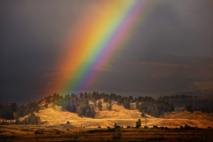 Yellowstone Rainbow