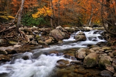 Smoky Mountain Fall Stream