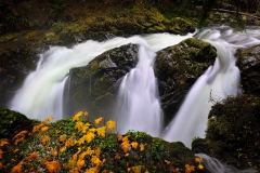 Sol-Duc Falls