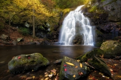 Spruce Flatts Falls, Smoky Mountains National Park, near Townsend, TN, US (c) Steve Perry