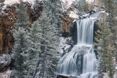 Undine Falls in winter, yellowstone national park. Undine waterfall plunges down into a valley with snow-covered trees on either side.