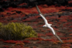20250216-A1207949-Enhanced-NR-Edit