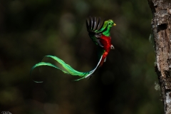 untitled-April-00112-2